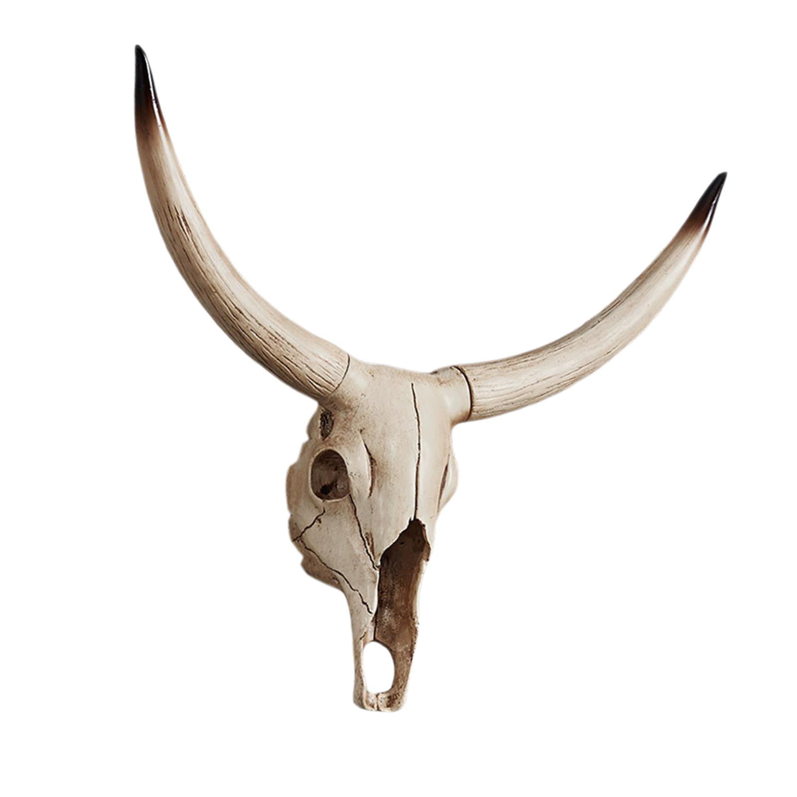 Longhorn Cow Skull Decor Faux-natural Resin Animal Skull - Etsy Singapore