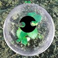 thumbnail image 4 of OULII 1 Set of Garden Mini Greenhouse Cover Plastic Protective Cover Transparent, 4 of 7