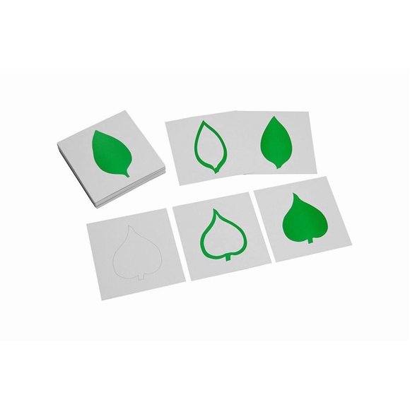 IFIT Montessori Leaf Cards, Montessori Toy Botany Materials