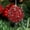 Red, variant on Christmas Tree Balls Ornaments Christmas Tree Decorations 8CM Christmas Saint Christmas Tree Decorative Sequins Foam Pendant Christmas Decorations Hanging