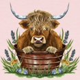 thumbnail image 2 of CafePress - Highland Cow Sitting In A Metal Long Sleeve Infant T Shirt - Long Sleeve Infant T-Shirt, 2 of 2
