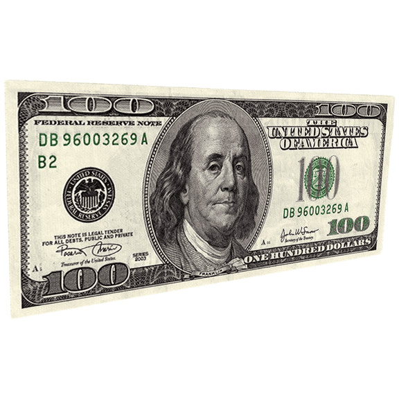 USA Dollar Bill Design Rug, Anti-Slip Floor Mat for Entryway, Kitchen, Living Room Decor