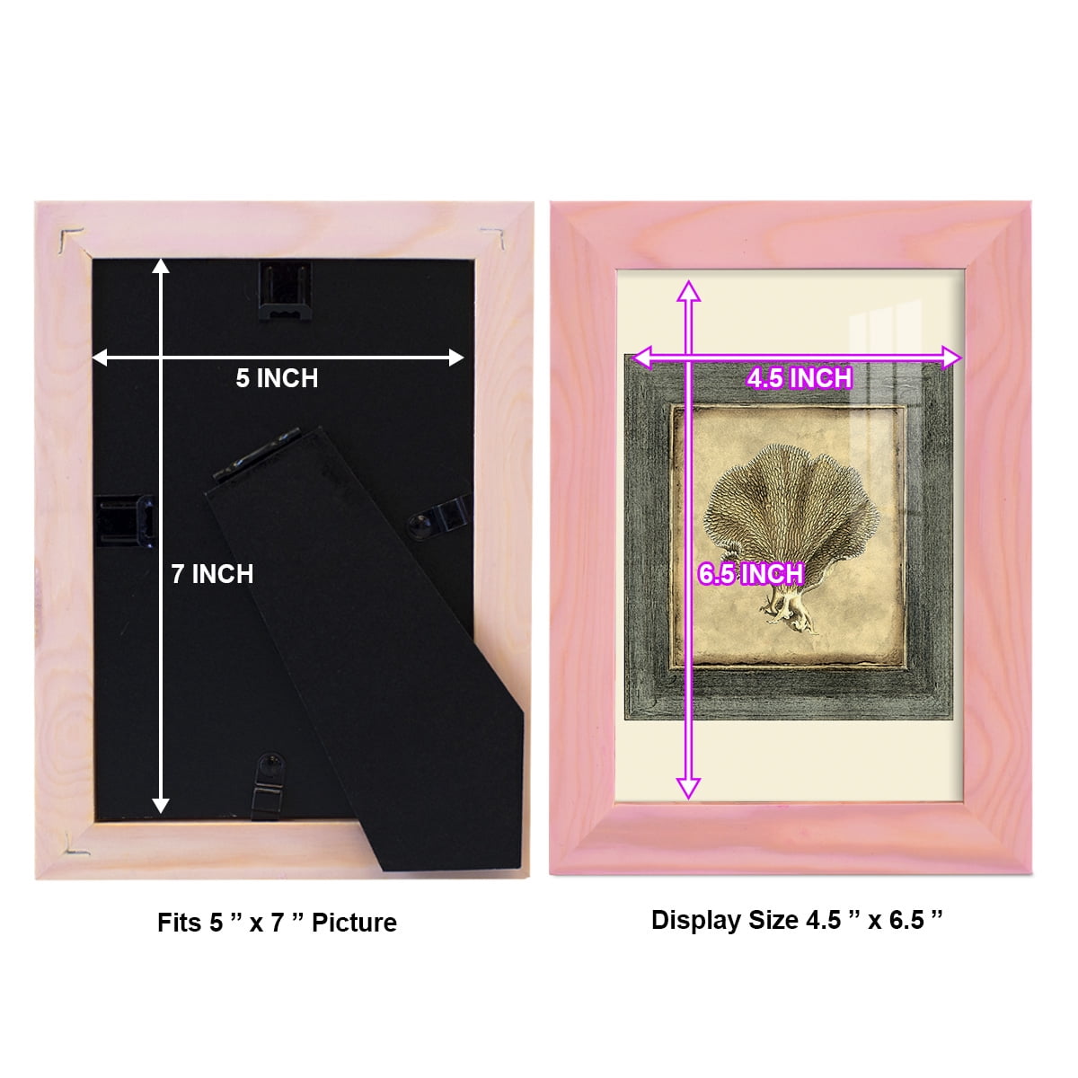 Mini Exotic Coral VI (U) - Framed Print w/glass - Sunset Pink