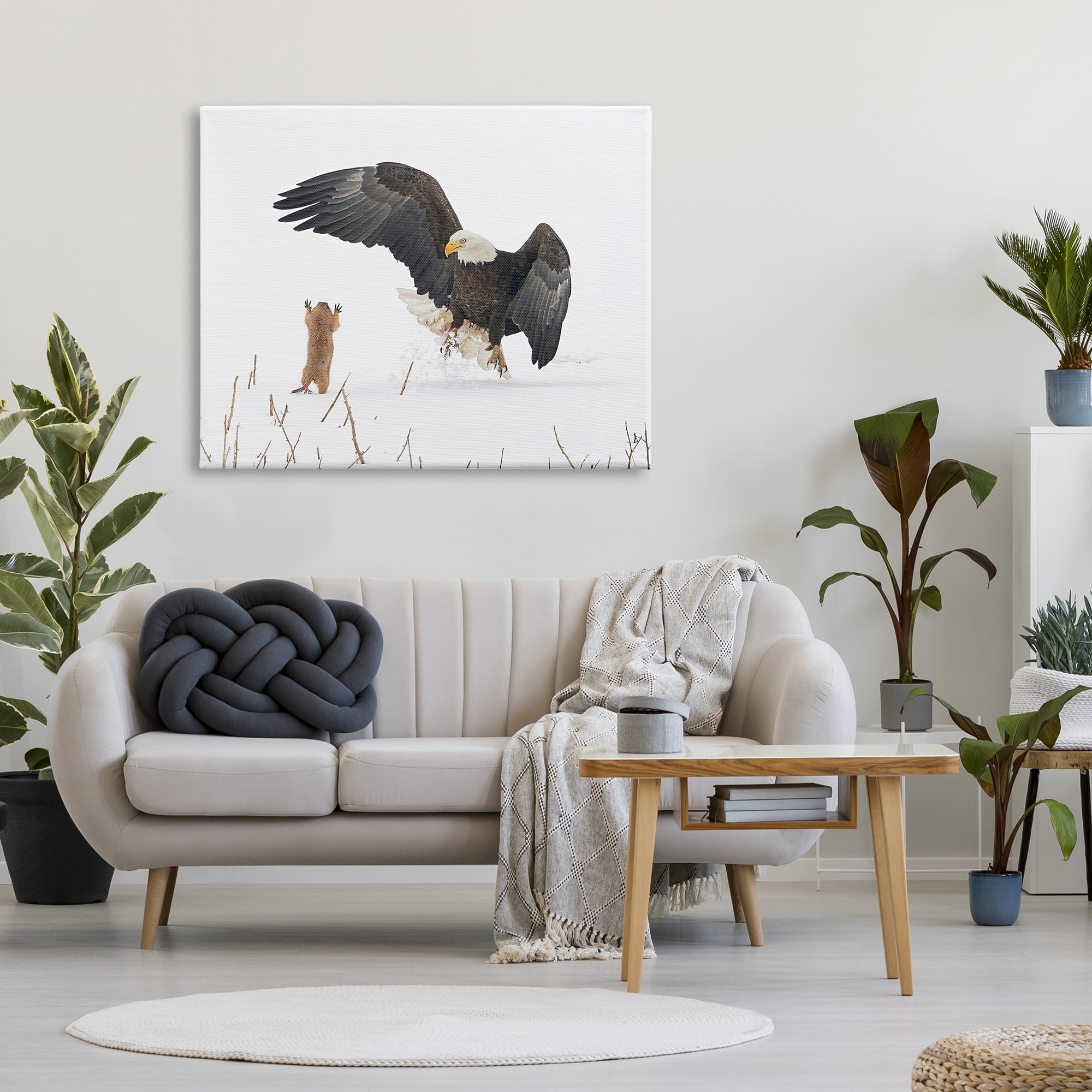Stupell Industries Prairie Dog & Eagle Animals & Insects Photography Gallery Wrapped Canvas Art Print Wall Art, 48 x 36
