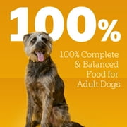 Pedigree Chopped Ground Dinner Chicken & Bacon Variety Pack Wet Dog Food, (12) 13.2 Oz Cans
