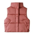 thumbnail image 4 of Little Boys Girls Outdoor Casual Stand Collar Warm Vest Coat, 4 of 8