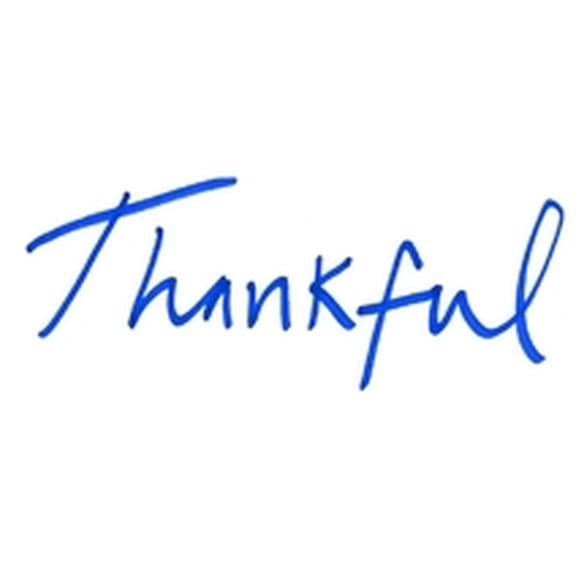 Editions Mego Klara Lewis Music & Performance Album Thankful Vinyl