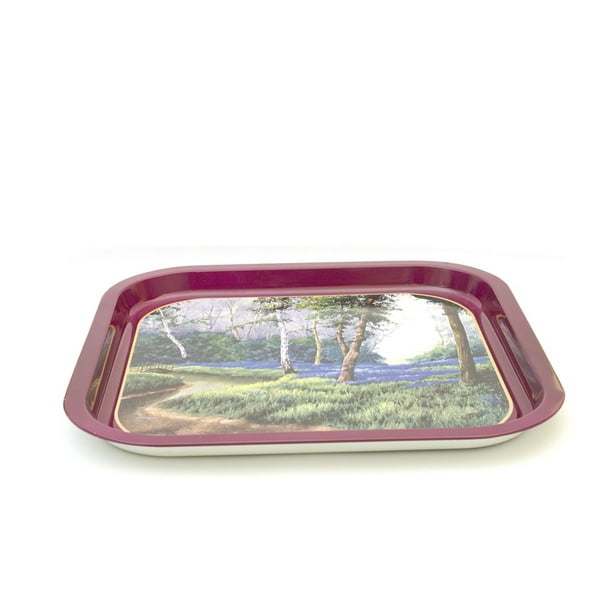 Tray Metal Metallic Food Plate Design 20 Inch By 30 Inch Laminated Poster With Bright Colors And Vivid Imagery Fits Perfectly In Many Attractive Frames Walmart Com Walmart Com