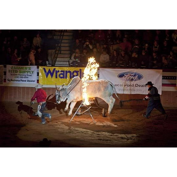 Fire Hoop-Fine Art Canvas Print (20" x 30")