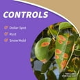 thumbnail image 3 of Bonide Captain Jack's Lawnweed Brew Herbicide Weed Killer Concentrate, 1qt, 3 of 8