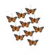 thumbnail image 1 of Moyic Hermoso juego de decoración de mariposas de imitación para pared de boda, paquete de 10 Kits de decoración para fiestas, 1 of 6