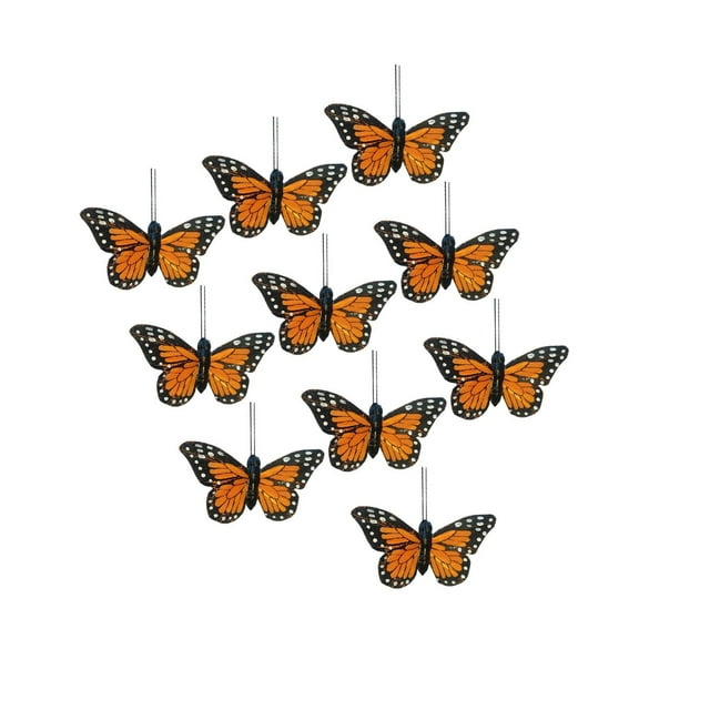 Bearachild Delicadas decoraciones de mariposas con plumas, juego de 10 para pared de boda, toque elegante Kits de decoración para fiestas