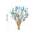 thumbnail image 3 of 60 Pc Bunny Tail Grass Flower Set, Dried DIY Floral Arrangement Supply, Decor for Vase Boho Home Wedding Decor, 3 of 7