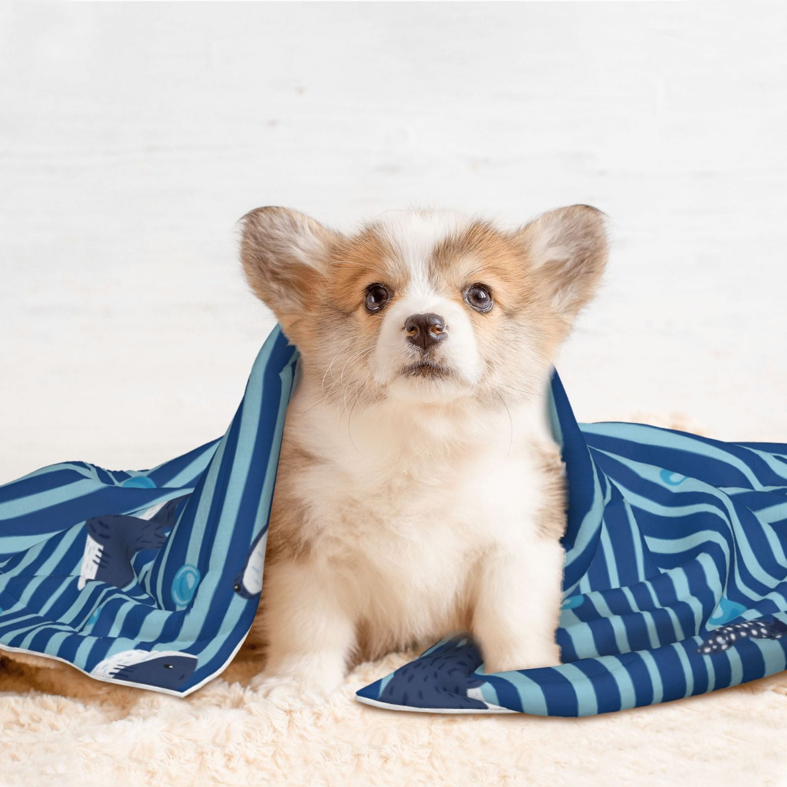 Naloa Sharks on White Blue Striped Dog Blanket, 3 Sizes Cat Blanket for Indoor Cats Large Medium Small Dog Gifts-Large