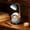 desk lamp Under $5 a2, variant on Werulen Cute Astronaut Cat Desk Lamp,USB Rechargeable Style,Gooseneck Table Light,Kids Bedroom Office Study,Cartoon Cat Table Lamp,Pen Container Combo Lamp,USB Desk Lamp,Flexible Gooseneck Light