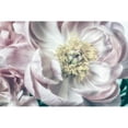 thumbnail image 3 of Poinski, Dianne 14x11 Black Modern Framed Museum Art Print Titled - Dusty Bloom 2, 3 of 5