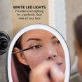 Lighted Wall Mount with Mini 10X Magnifying Mirror