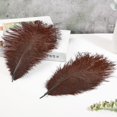 thumbnail image 4 of Plumas de avestruz marrones Soarer de 30 a 35 cm para manualidades, 15 unidades, 4 of 6