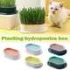 thumbnail image 1 of Bandeja hidropónica para macetero de hierba gatera de plástico, caja de hierba para gatos sin suelo, caja para cultivo de hierba para gatos, bandeja para aperitivos, 1 of 5