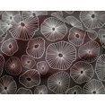 thumbnail image 5 of oneOone Silk Tabby Dark Gray Fabric Abstracts Craft Projects Decor Fabric Printed By The Yard 42 Inch Wide, 5 of 5