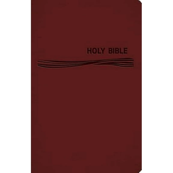 Pre-Owned Ceb Common English Deep Blue Kids Bible Decotone Burgundy: Diving Deep Into God's Word (Unknown) 1609261984 9781609261986