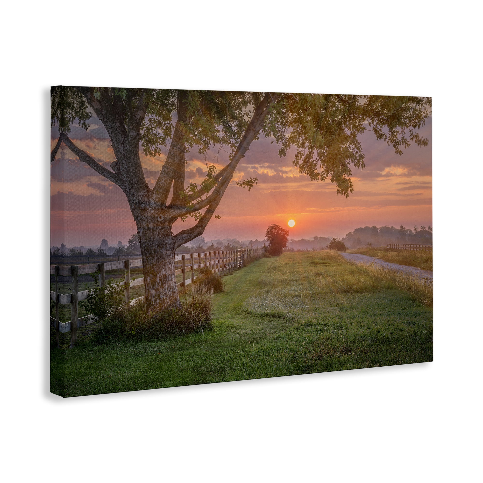 Stupell Industries Bold Sunrise in Countryside Landscape & Nature Photography Wrapped Canvas Art Print Wall Art, 45 x 30