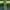 Green, variant on Xysaqa Flare Leggings for Women Trendy Line Bootleg Yoga Pants Womens High Waisted Casual Dress Pants Brown S