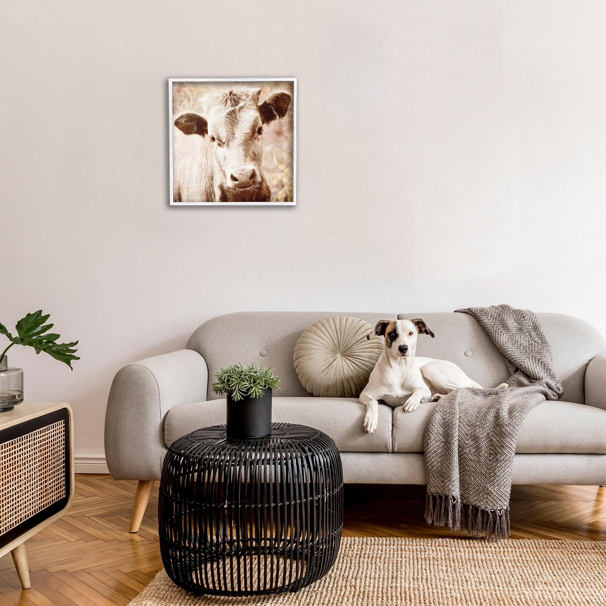 Stupell Industries Abstract Sepia Cattle Animals & Insects Photography White Framed Art Print Wall Art, 24 x 24