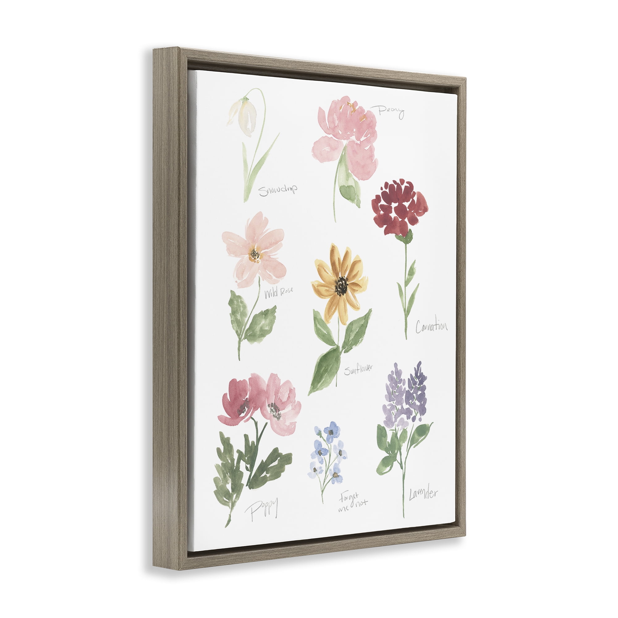 Stupell Industries Labeled Flower Varieties Brown Framed Floater Canvas Wall Art, design by Lucille Price