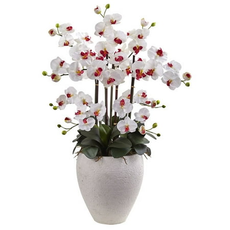 Phalaenopsis Orchid With White Planter (Best Orchid Pots For Phalaenopsis)