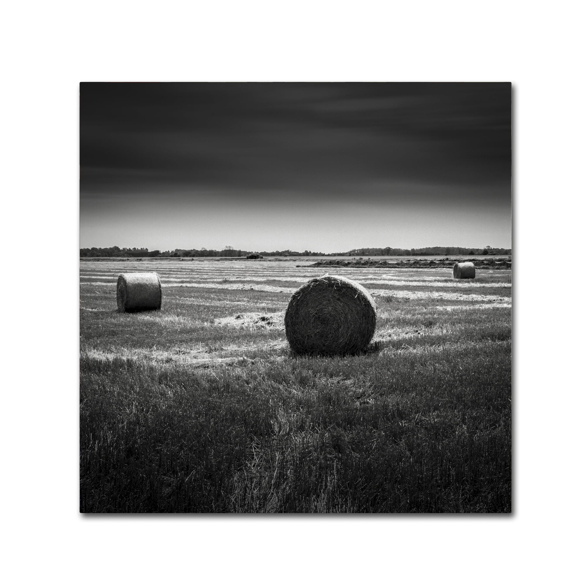 Dave MacVicar 'Rural' Canvas Wall Art 14 x 14