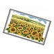 thumbnail image 1 of Kit de con de preimpreso - girasol para niños, adultos, principiantes (incluye instrucciones en inglés), 1 of 9