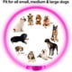thumbnail image 3 of LED Waterproof Dog Collars HomeJSDH Family Store Round, 3 of 14