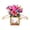 Tulip mijin birthday, variant on Melody-Enabled Greeting Card With LED & Display Box For Celebratory Moments