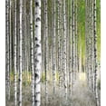 thumbnail image 3 of Birch Tree Duvet Cover Set, Peaceful Late Summer Woodland Trunks Leaves Foliage Serene Tranquil, Decorative 3 Piece Bedding Set with 2 Pillow Shams, Queen Size, Green Pale Grey Black, by Ambesonne, 3 of 3