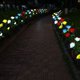thumbnail image 2 of Solar LED Flower Lights for Outdoor Garden, Patio, Lawn, Balcony - Waterproof IP44 - White (1 Pack), 2 of 5