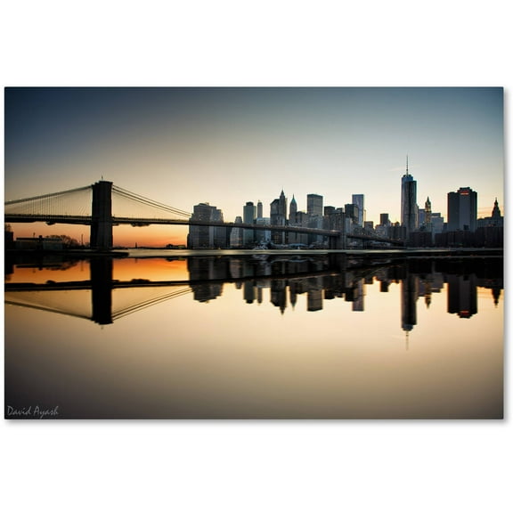 Trademark Fine Art "Downtown NY" Canvas Art by David Ayash