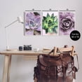 thumbnail image 3 of Purple Sprouting Succulents Close Up Botanical & Floral Graphic Art Unframed Art Print Wall Art, Set of 3, 3 of 7