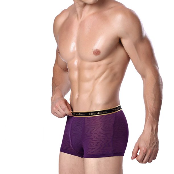 Jacquard Hielo Seda Sexy De los hombres Ropa Interior Masculina Hombre Perrado Boxeadores Tamaño De Seda De Hielo Transpirable L-Xxxl 1111Fourone NK0793