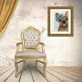 thumbnail image 3 of Fab Funky 26x32 Gold Ornate Wood Framed with Double Matting Museum Art Print Titled - French Bulldog and Blue Bow, 3 of 4