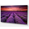 thumbnail image 2 of Red Sunset Over Lavender Field - Extra Large Wall Art Landscape, 2 of 3