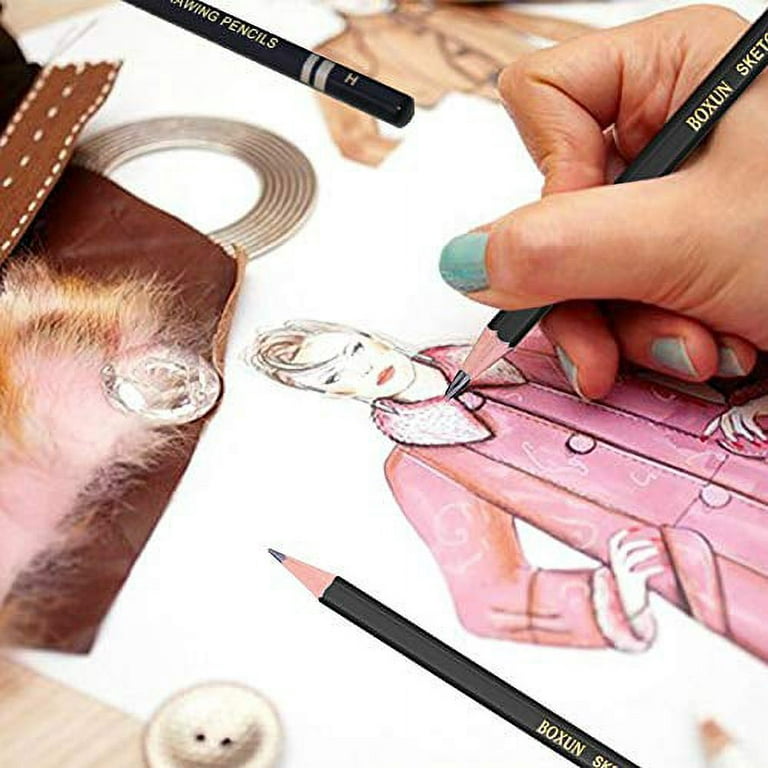 Artist Sketching Pencils Set - Professional 12 Pieces Drawing Pencils 12B,  10B, 8B, 6B, 4B, 2B, B, HB, H, 2H, 3H, 4H Graphite Shading Pencils for  Beginners and Students 
