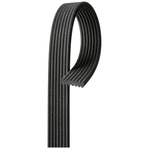 Gates DK070536 Multi V-Groove Belt