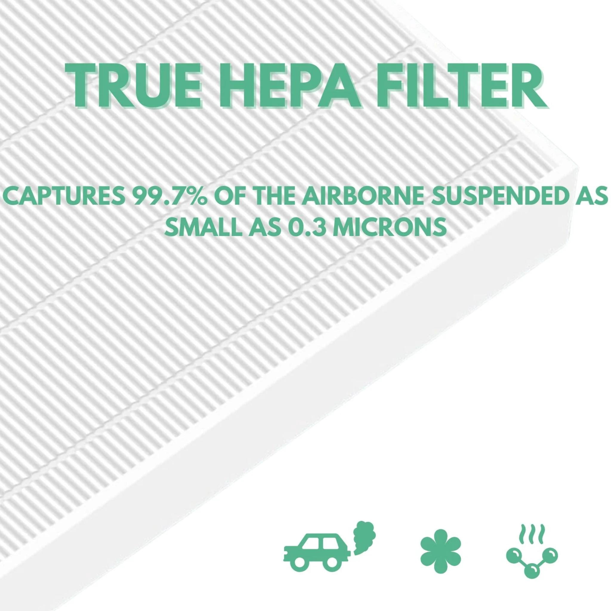 Replacement HEPA Filter and 2 Sheet Activated Carbon Pre Filter For Coway Air Purifier AP-1512HH and Airmega 200M AP-1518R, 2 Sets