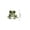 Pond Friend-Frog, variant on Tiny 3D Beaded Animal DIY Kit, Easy Beading Embroidery Set, Beginner Friendly Animal Beadwork Craft Kit With Detailed Instructions (Woodland Friend)