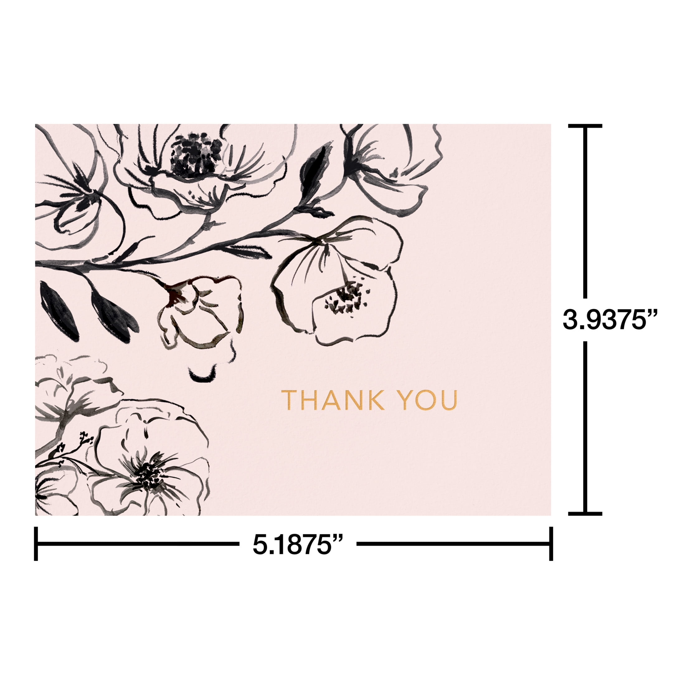 American Greetings Thank You Card Bundle, Dots (2-Designs, 50-Count)