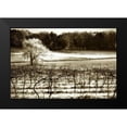 thumbnail image 2 of Hausenflock, Alan 18x13 Black Modern Framed Museum Art Print Titled - Vineyard II, 2 of 5
