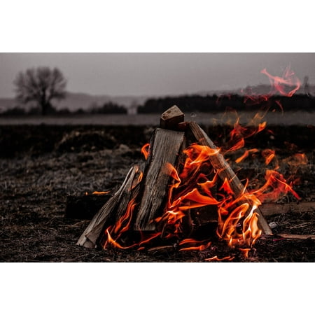 Canvas Print Flame Firewood Heat Fire Bonfire Campfire Stretched Canvas 10 x