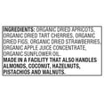 thumbnail image 5 of bettergoods Organic Dried Fruit Medley, 6 oz, 5 of 8