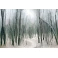 thumbnail image 2 of Allen, Kimberly 32x23 White Modern Wood Framed Museum Art Print Titled - Shrouded Forest 1, 2 of 4